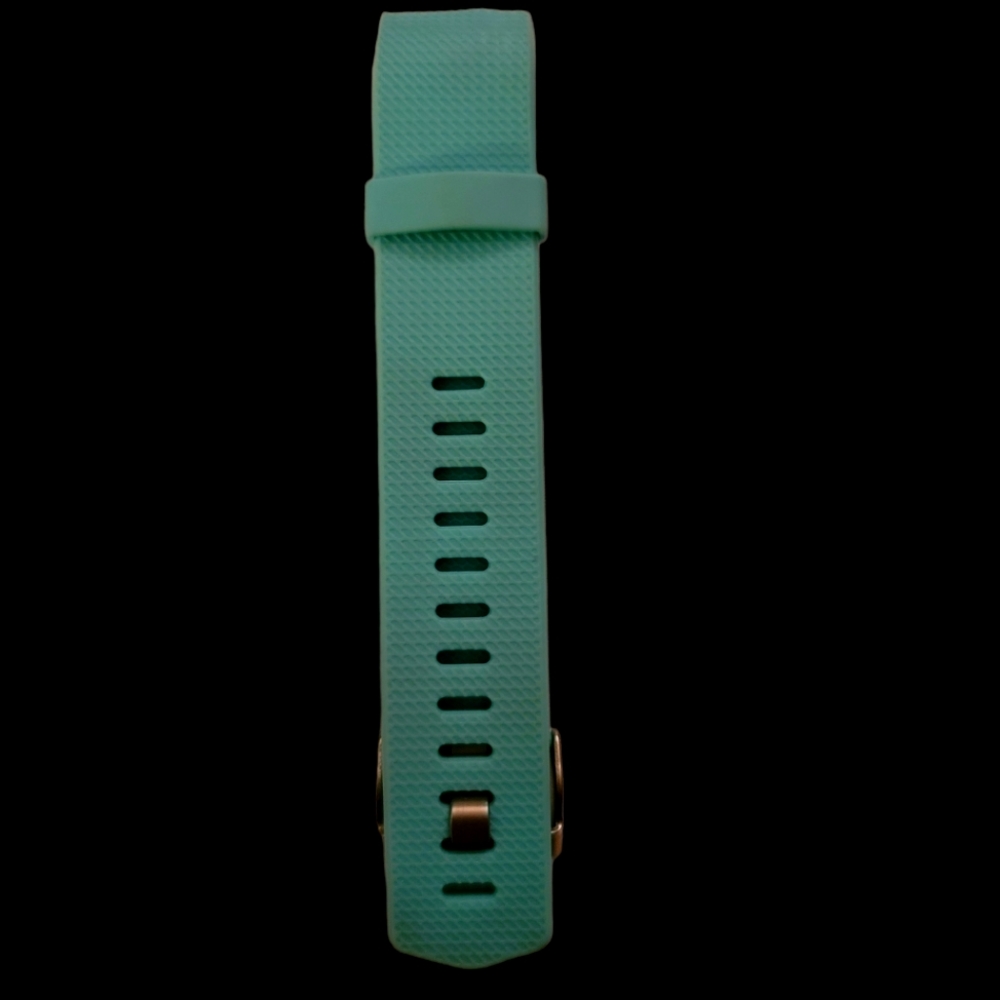 Fitbit Charge 2 Band